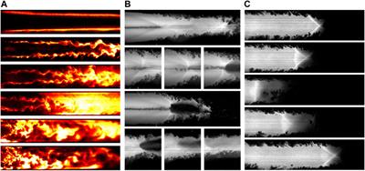 Fluid and combustion dynamics in dual-mode scramjets